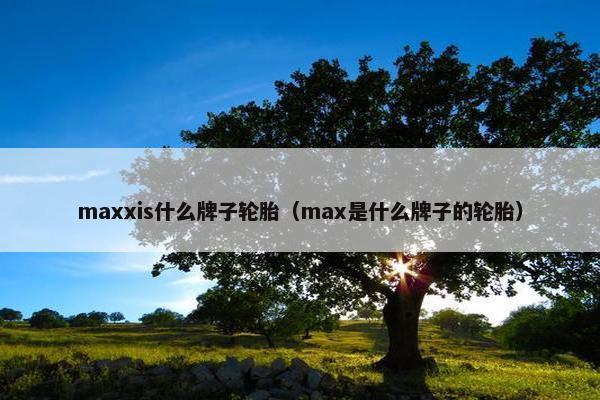 maxxis什么牌子轮胎（max是什么牌子的轮胎）