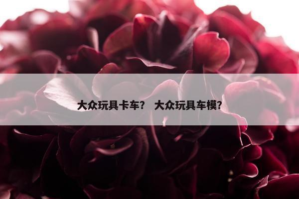 大众玩具卡车？ 大众玩具车模？