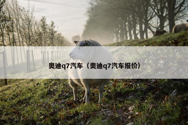 奥迪q7汽车（奥迪q7汽车报价）