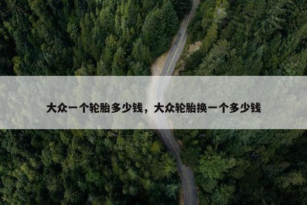 大众一个轮胎多少钱，大众轮胎换一个多少钱