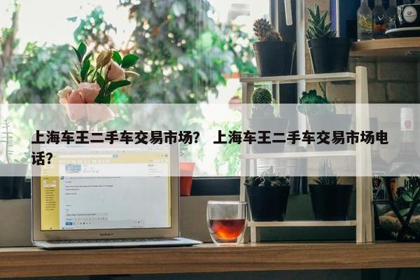 上海车王二手车交易市场？ 上海车王二手车交易市场电话？