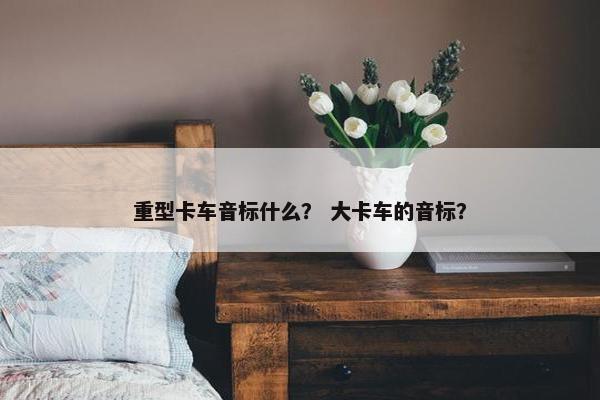 重型卡车音标什么？ 大卡车的音标？