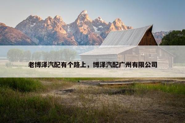 老博泽汽配有个路上，博泽汽配广州有限公司