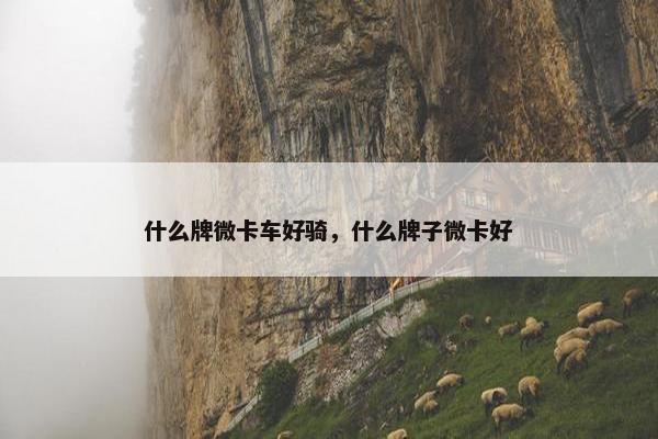 什么牌微卡车好骑，什么牌子微卡好