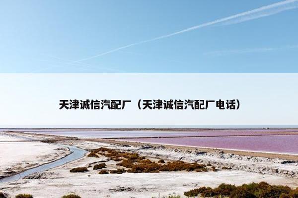 天津诚信汽配厂（天津诚信汽配厂电话）