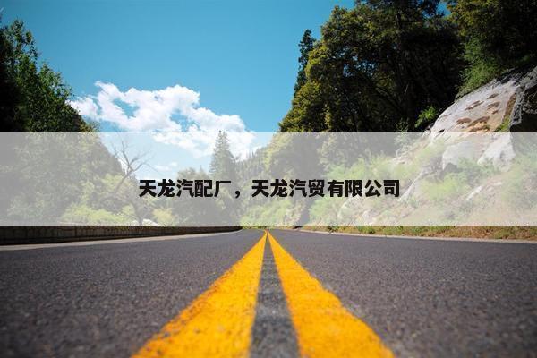 天龙汽配厂，天龙汽贸有限公司