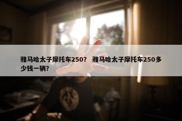 雅马哈太子摩托车250？ 雅马哈太子摩托车250多少钱一辆？