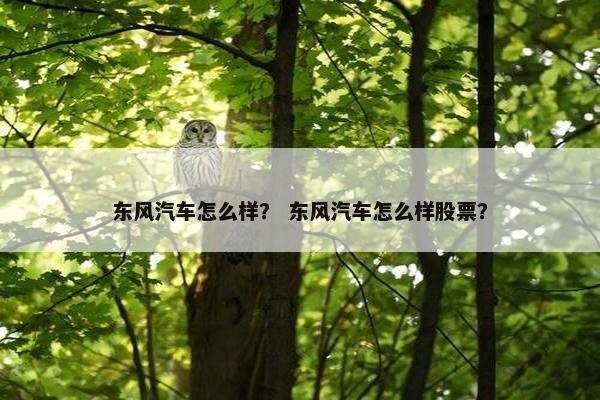东风汽车怎么样？ 东风汽车怎么样股票？