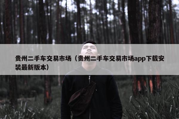 贵州二手车交易市场（贵州二手车交易市场app下载安装最新版本）
