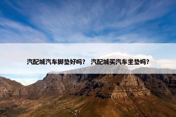 汽配城汽车脚垫好吗？ 汽配城买汽车坐垫吗？