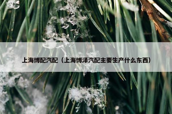 上海博配汽配（上海博泽汽配主要生产什么东西）