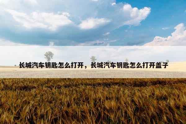 长城汽车钥匙怎么打开，长城汽车钥匙怎么打开盖子