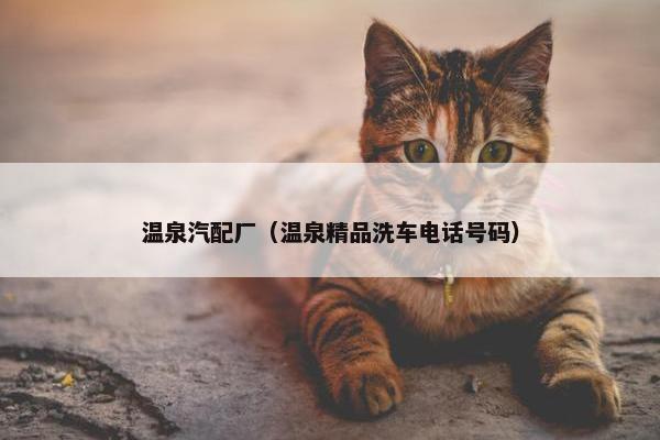 温泉汽配厂（温泉精品洗车电话号码）