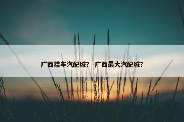 广西挂车汽配城？ 广西最大汽配城？