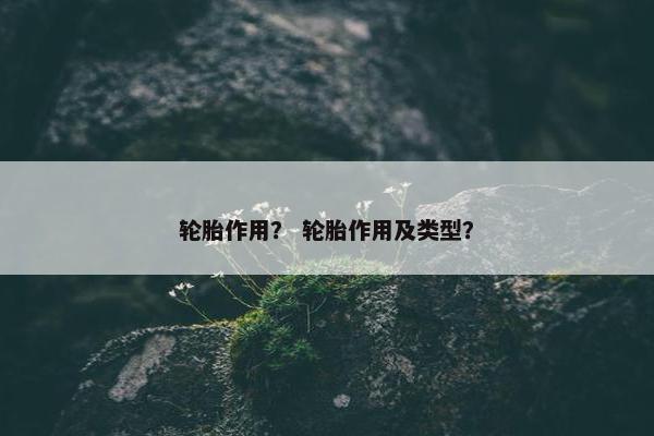 轮胎作用？ 轮胎作用及类型？