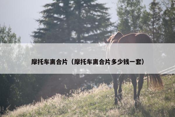 摩托车离合片（摩托车离合片多少钱一套）