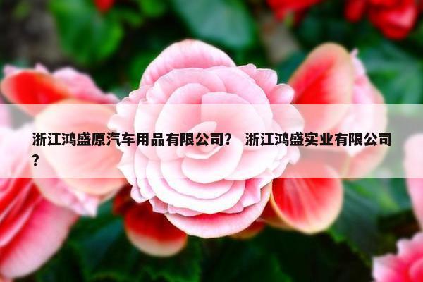 浙江鸿盛原汽车用品有限公司？ 浙江鸿盛实业有限公司？