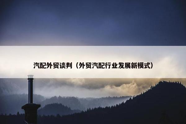 汽配外贸谈判（外贸汽配行业发展新模式）