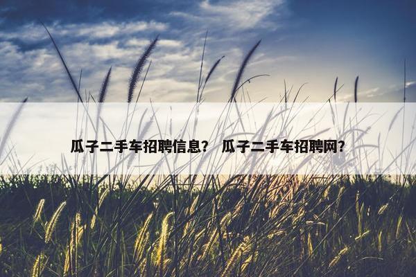 瓜子二手车招聘信息？ 瓜子二手车招聘网？