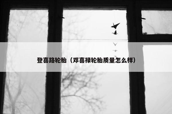 登喜路轮胎（邓喜禄轮胎质量怎么样）