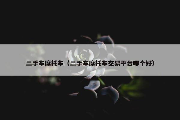 二手车摩托车（二手车摩托车交易平台哪个好）