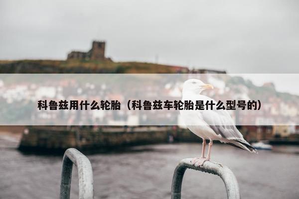科鲁兹用什么轮胎（科鲁兹车轮胎是什么型号的）