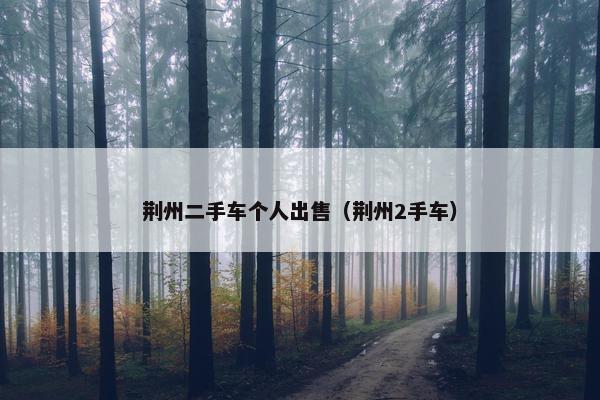 荆州二手车个人出售（荆州2手车）