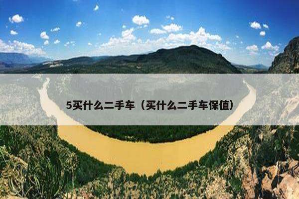 5买什么二手车（买什么二手车保值）