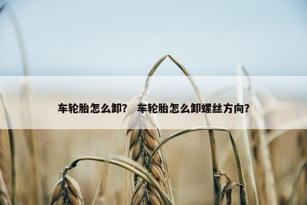 车轮胎怎么卸？ 车轮胎怎么卸螺丝方向？
