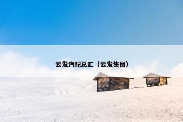 云发汽配总汇（云发集团）