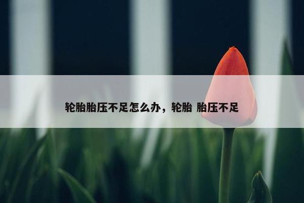 轮胎胎压不足怎么办，轮胎 胎压不足