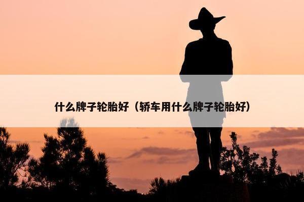什么牌子轮胎好（轿车用什么牌子轮胎好）
