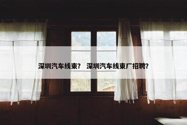 深圳汽车线束？ 深圳汽车线束厂招聘？