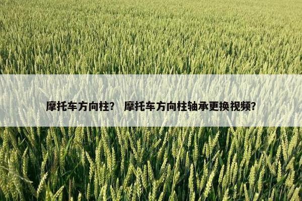 摩托车方向柱？ 摩托车方向柱轴承更换视频？