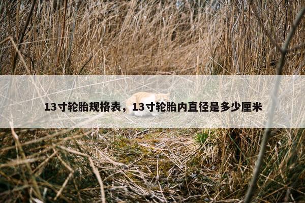 13寸轮胎规格表，13寸轮胎内直径是多少厘米