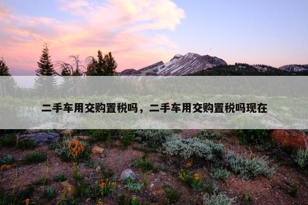 二手车用交购置税吗，二手车用交购置税吗现在