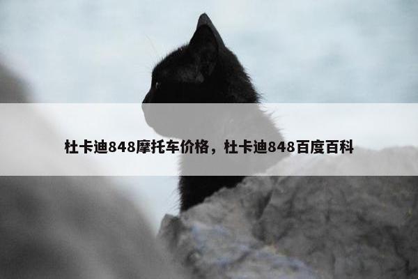 杜卡迪848摩托车价格，杜卡迪848百度百科