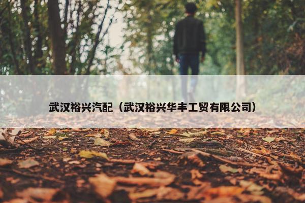 武汉裕兴汽配（武汉裕兴华丰工贸有限公司）