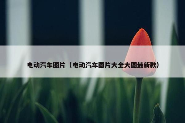 电动汽车图片（电动汽车图片大全大图最新款）