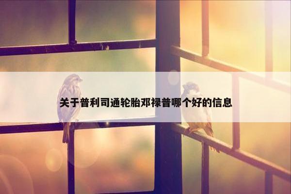 关于普利司通轮胎邓禄普哪个好的信息