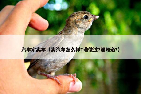 汽车家卖车（卖汽车怎么样?谁做过?谁知道?）