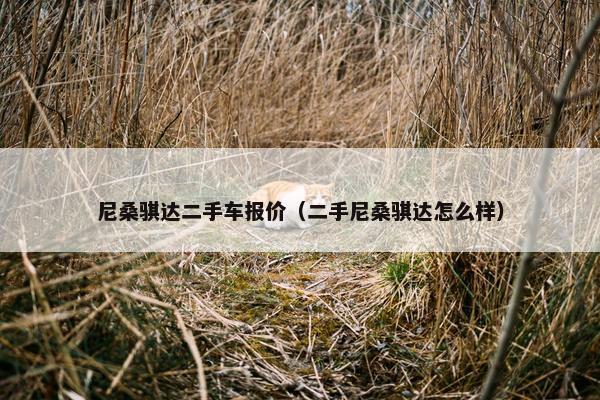 尼桑骐达二手车报价（二手尼桑骐达怎么样）