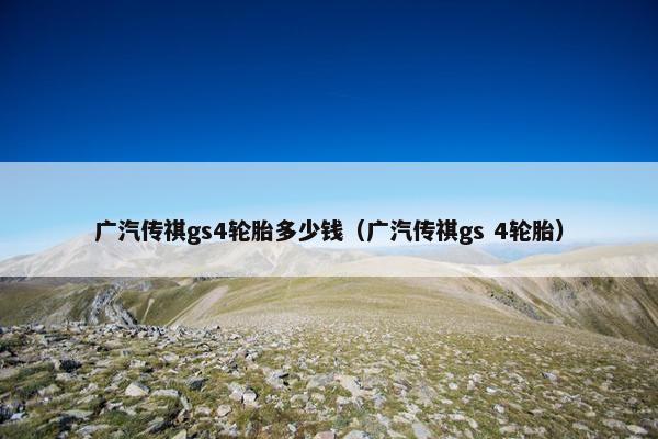 广汽传祺gs4轮胎多少钱（广汽传祺gs 4轮胎）