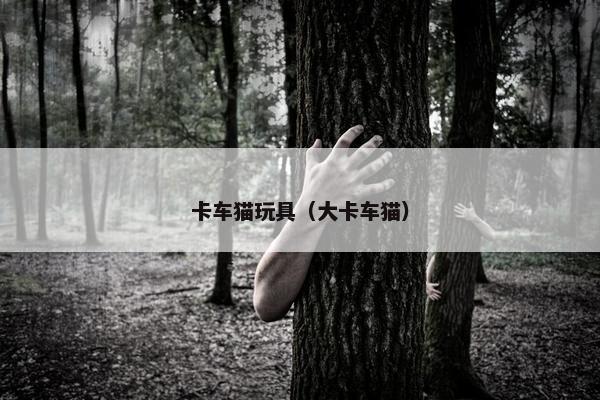 卡车猫玩具（大卡车猫）