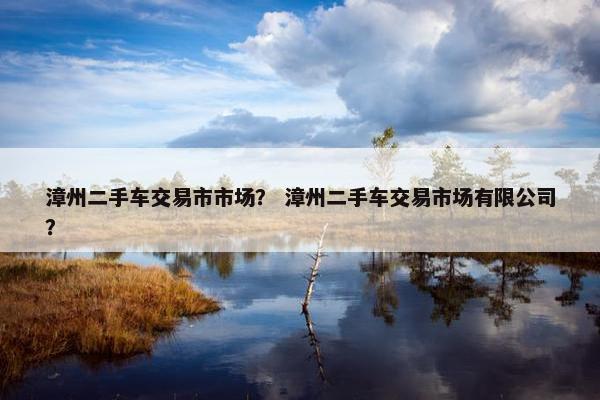 漳州二手车交易市市场？ 漳州二手车交易市场有限公司？