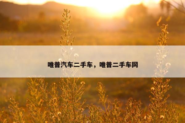 唯普汽车二手车，唯普二手车网