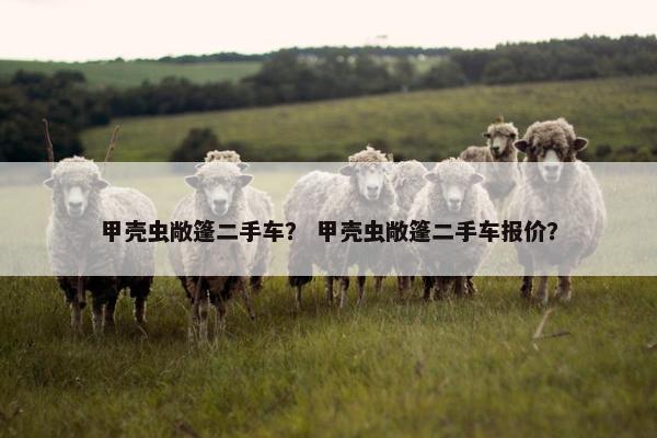 甲壳虫敞篷二手车？ 甲壳虫敞篷二手车报价？