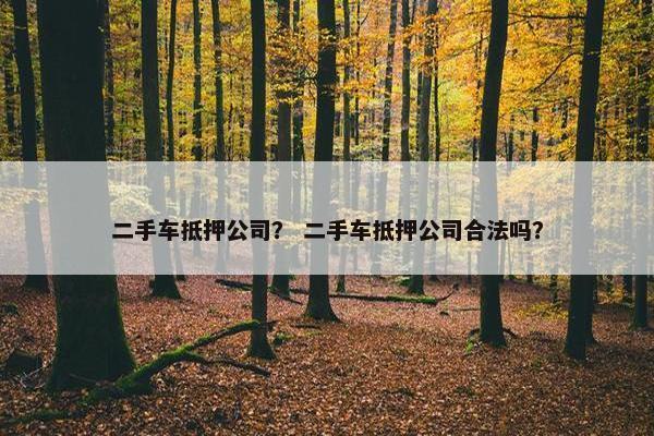 二手车抵押公司？ 二手车抵押公司合法吗？