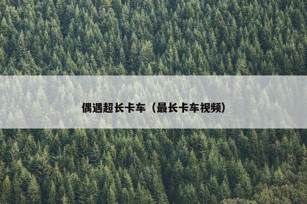 偶遇超长卡车（最长卡车视频）