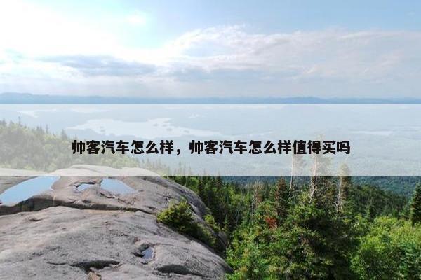 帅客汽车怎么样，帅客汽车怎么样值得买吗